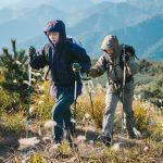 Трекінгова палиця 3-секційна Naturehike ST06 NH17D006-D, 66-135 см, зелена - Зображення 4