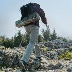 Трекінгова палиця Naturehike CNK2450DS016, 120 см, зелена - Зображення 5