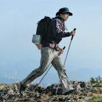 Трекінгова палиця Naturehike CNK2450DS016, 110 см, зелена - Зображення 2