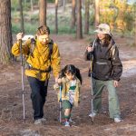 Трекінгова палиця 3-сек. Naturehike Men ST 01 6061 AL NH17D001-Z, алюміній,  золотиста - Зображення 7